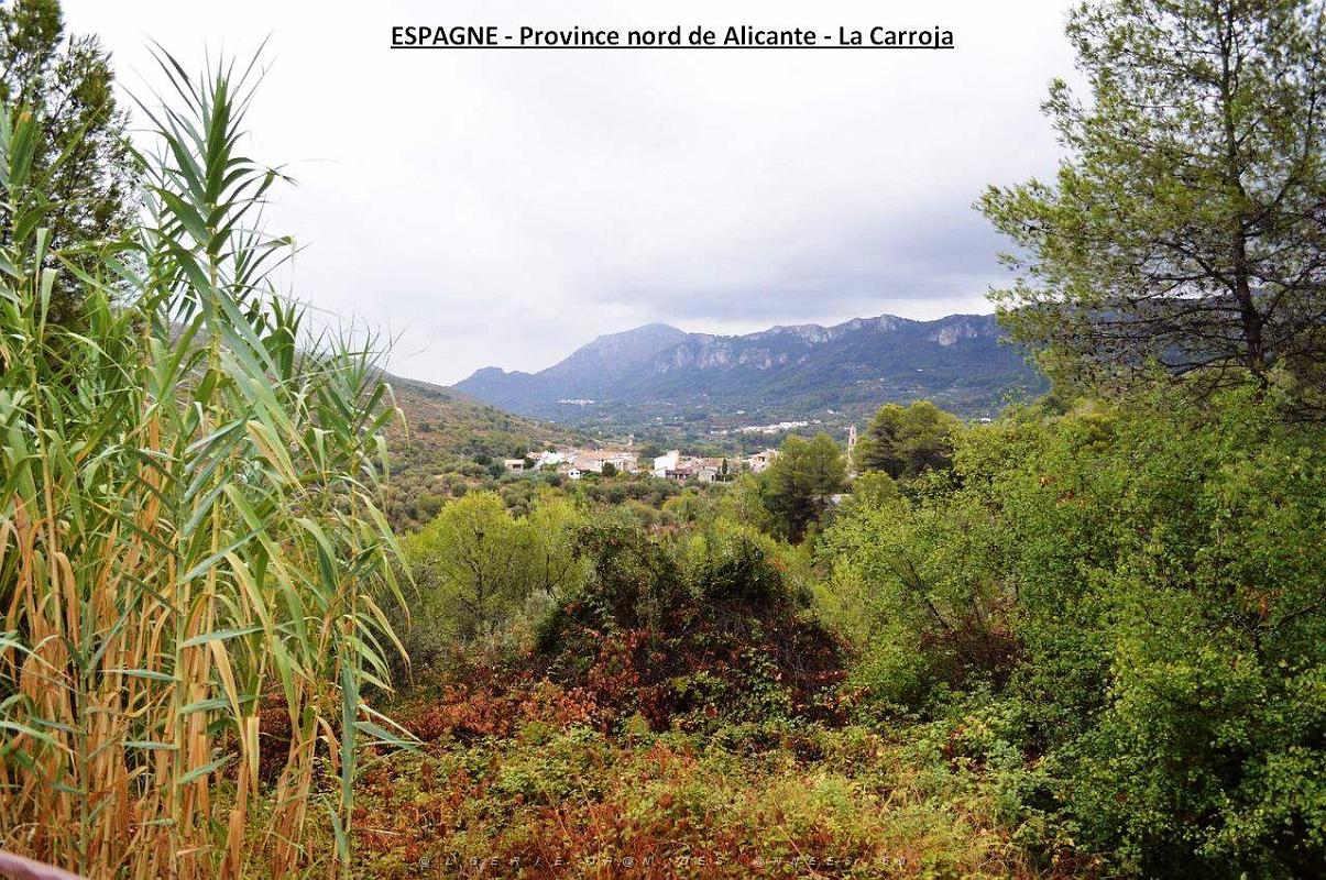 075- La Carroja.JPG